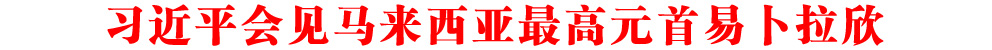 習(xí)近平會(huì)見馬來西亞最高元首易卜拉欣
