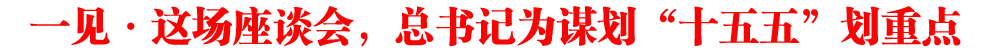 一見·這場座談會，總書記為謀劃“十五五”劃重點