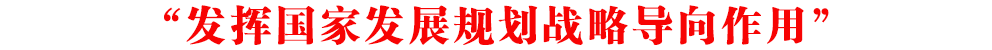 “發(fā)揮國家發(fā)展規(guī)劃戰(zhàn)略導向作用”