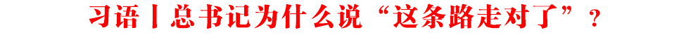 習(xí)語丨總書記為什么說“這條路走對(duì)了”？