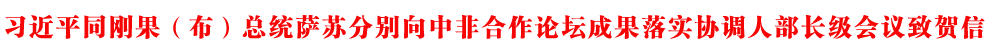 習(xí)近平同剛果（布）總統(tǒng)薩蘇分別向中非合作論壇成果落實協(xié)調(diào)人部長級會議致賀信