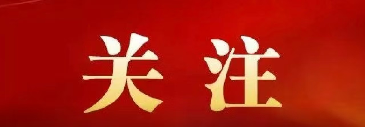 四部門印發(fā)《2025年提升全民數(shù)字素養(yǎng)與技能工作要點》