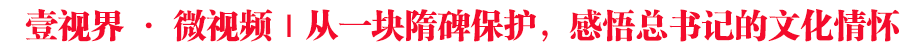 壹視界·微視頻｜從一塊隋碑保護(hù)，感悟總書記的文化情懷