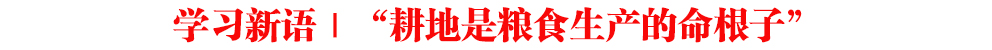 學(xué)習(xí)新語｜“耕地是糧食生產(chǎn)的命根子”