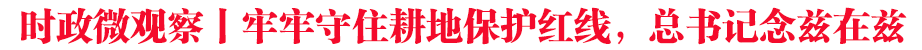 時(shí)政微觀察丨牢牢守住耕地保護(hù)紅線,總書(shū)記念茲在茲
