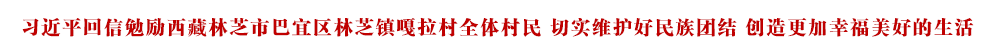 習(xí)近平回信勉勵西藏林芝市巴宜區(qū)林芝鎮(zhèn)嘎拉村全體村民 切實(shí)維護(hù)好民族團(tuán)結(jié) 創(chuàng)造更加幸福美好的生活