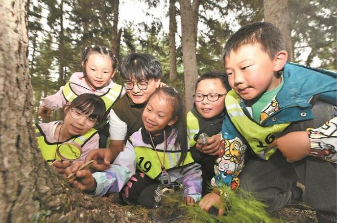 【青春無畏 創(chuàng)業(yè)有路】露營基地逐夢人