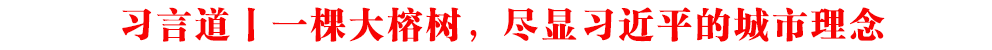 習(xí)言道丨一棵大榕樹，盡顯習(xí)近平的城市理念