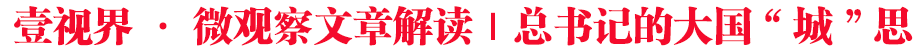 壹視界·微觀察文章解讀｜總書(shū)記的大國(guó)“城”思